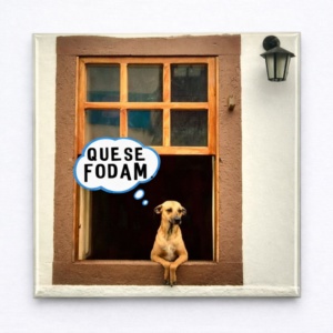 Ímã cachorro que se fodam